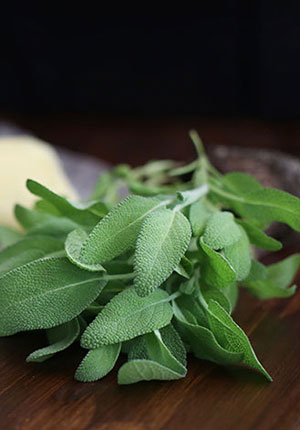 Nguan Soon 1st hand brand Sage Leaf Seasoning Cook Herb Herbal