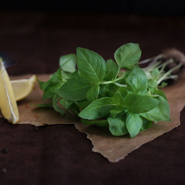 Lemon Basil Fresh Herb Uses and Cooking Tips